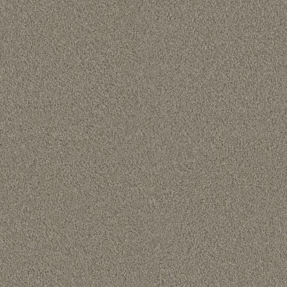 Shop Phenix Whimsical Cheerful FE505-729 Carpet | Myers