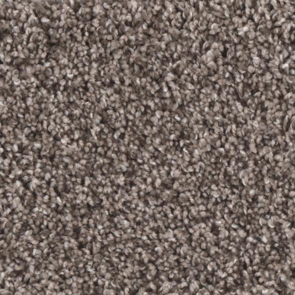 Shop Phenix Stoneybrook II Rush N257-2009 Carpet | Bud Polley's
