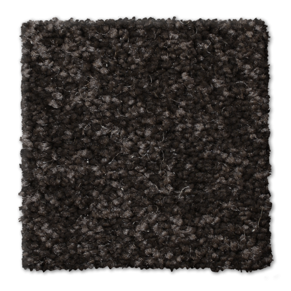 Shop Phenix Panache Swiss Coffee N225-16 Carpet | McSwain Carpets