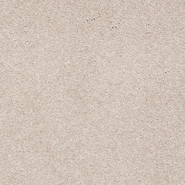 Shaw Floors Shaw Flooring Gallery TRULY MODERN III 15′ Oatmeal 00104_Q268G