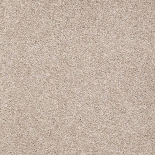 Shaw Floors Shaw Flooring Gallery TRULY MODERN III 15′ Soft Shadow 00105_Q268G