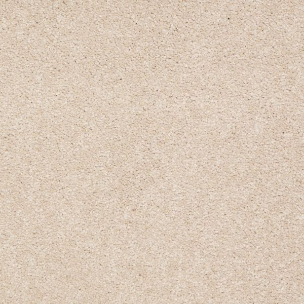 Shaw Floors Shaw Flooring Gallery TRULY MODERN III 15′ Cashew 00106_Q268G