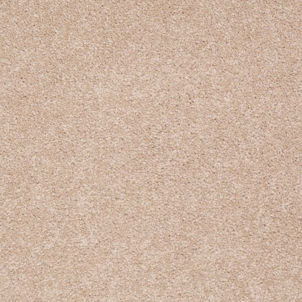 Shaw Floors Shaw Flooring Gallery TRULY MODERN III 15′ Stucco 00110_Q268G