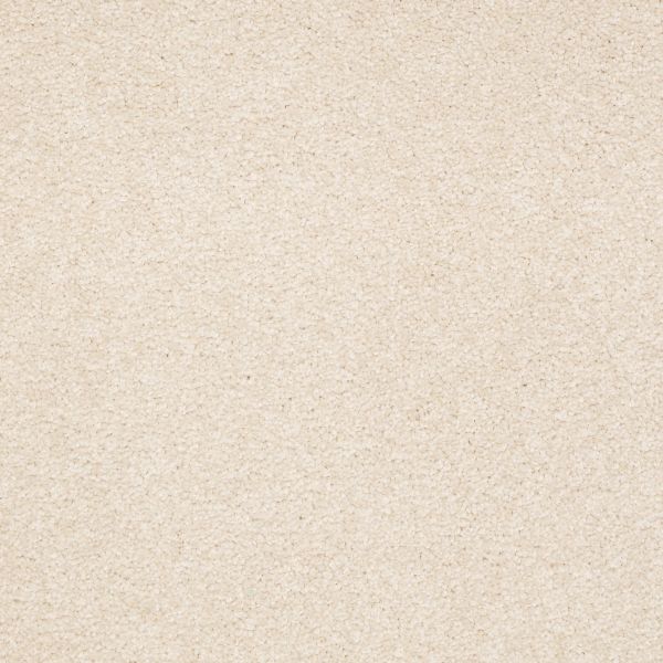 Shaw Floors Shaw Flooring Gallery TRULY MODERN III 15′ Almond Flake 00200_Q268G