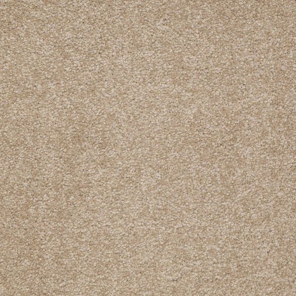 Shaw Floors Shaw Flooring Gallery TRULY MODERN III 15′ Sahara 00205_Q268G