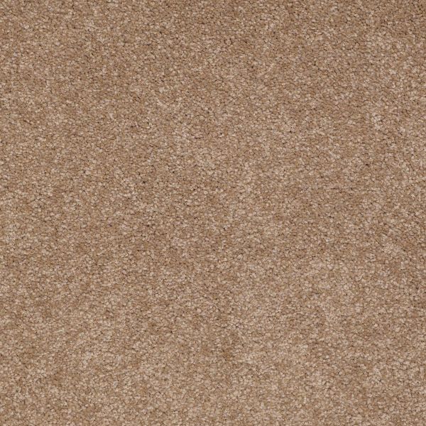 Shaw Floors Shaw Flooring Gallery TRULY MODERN III 15′ Mojave 00301_Q268G