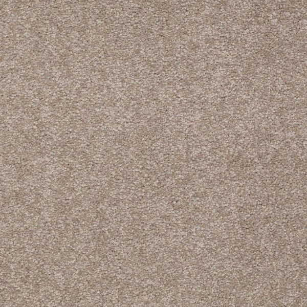 Shaw Floors Shaw Flooring Gallery TRULY MODERN III 15′ Chinchilla 00306_Q268G