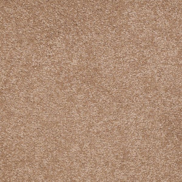 Shaw Floors Shaw Flooring Gallery TRULY MODERN III 15′ Muffin 00700_Q268G