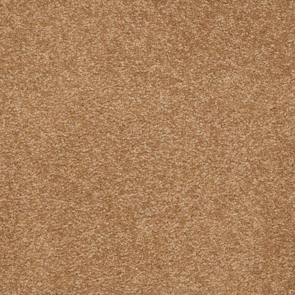 Shaw Floors Shaw Flooring Gallery TRULY MODERN III 15′ Peanut Brittle 00702_Q268G