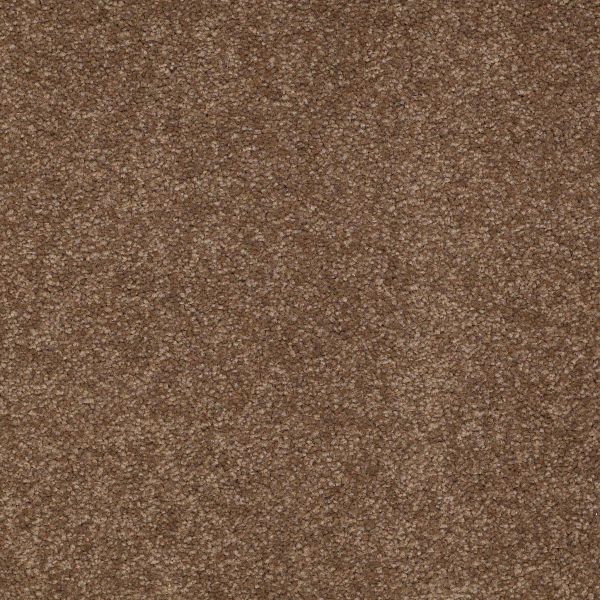 Shaw Floors Shaw Flooring Gallery TRULY MODERN III 15′ Pine Cone 00703_Q268G