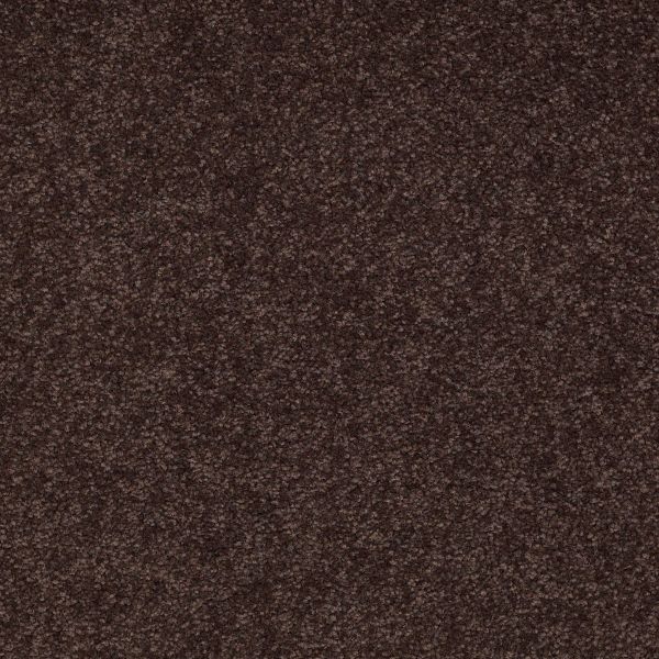 Shaw Floors Shaw Flooring Gallery TRULY MODERN III 15′ Tundra 00708_Q268G