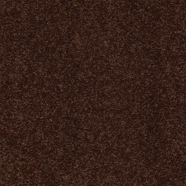 Shaw Floors Shaw Flooring Gallery TRULY MODERN III 15′ Coffee Bean 00711_Q268G