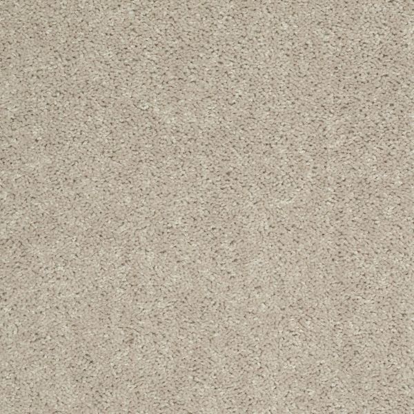 Shaw Floors Shaw Flooring Gallery UNION CITY I 12′ Bare Mineral 00105_5305G