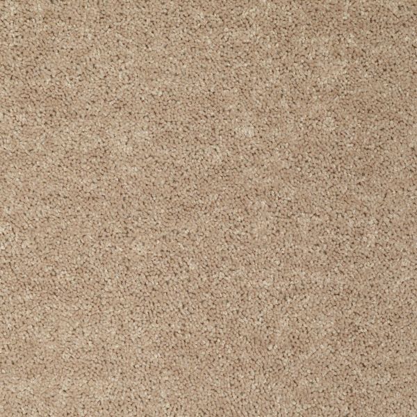 Shaw Floors Shaw Flooring Gallery UNION CITY I 12′ Honeycomb 00201_5305G