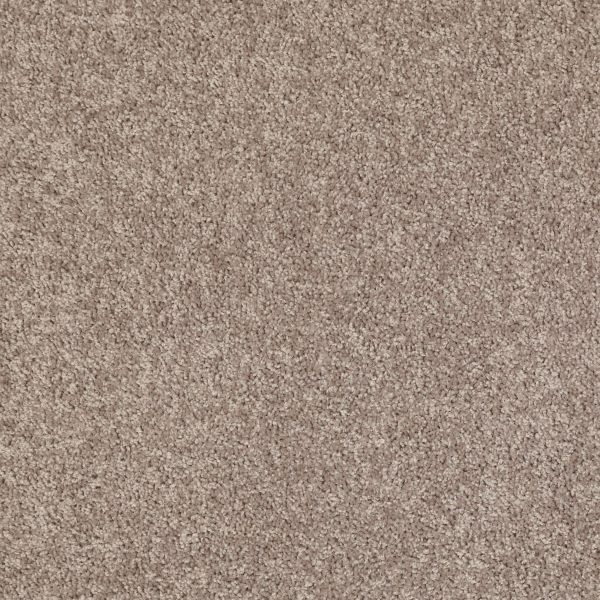 Shaw Floors Shaw Flooring Gallery UNION CITY I 12′ Aloe 00300_5305G