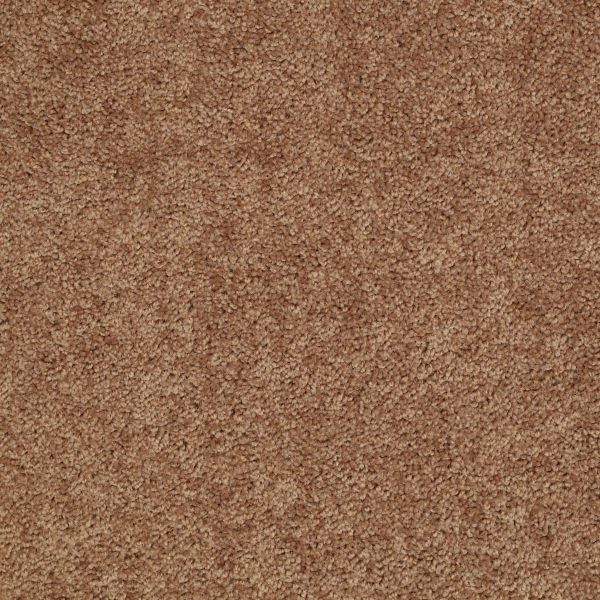 Shaw Floors Shaw Flooring Gallery UNION CITY I 12′ Desert Sunrise 00721_5305G