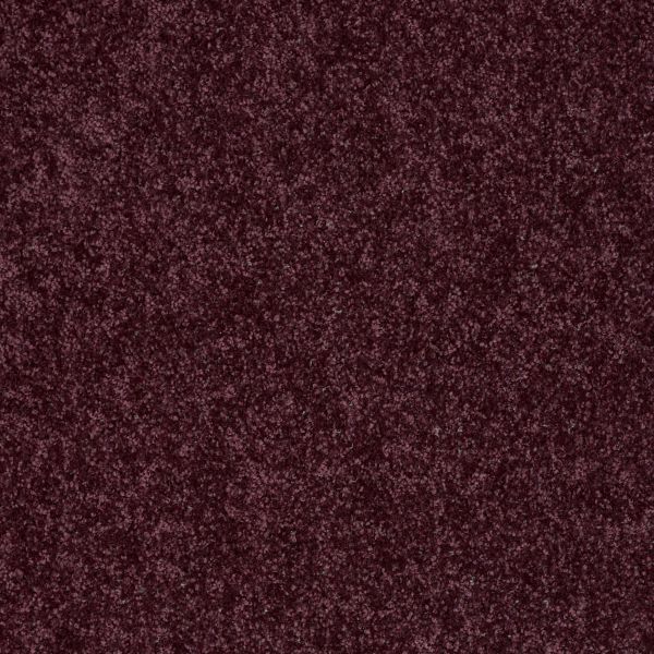 Shaw Floors Shaw Flooring Gallery UNION CITY I 12′ Royal Purple 00902_5305G