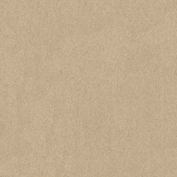 Anderson Tuftex American Home Fashions NICE DREAMS I Dream Dust 00220_ZA814