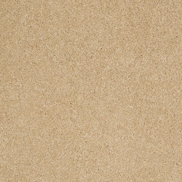 Anderson Tuftex American Home Fashions NICE DREAMS I Macadamia 00232_ZA814