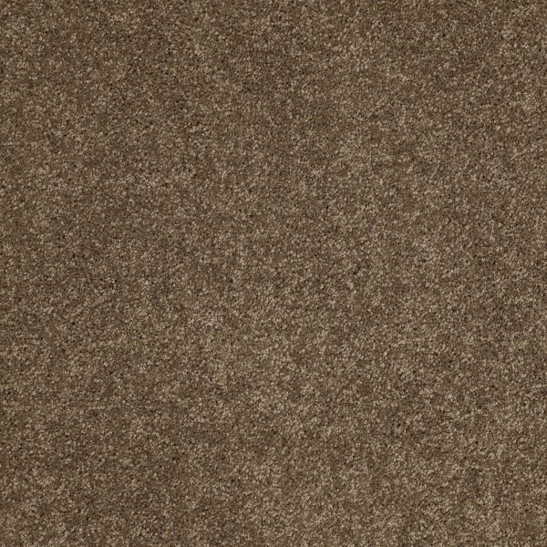 Anderson Tuftex American Home Fashions NICE DREAMS I Vicuna 00736_ZA814