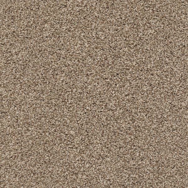 Shop Shaw Floors Value Collections POISED NET Brown Sugar