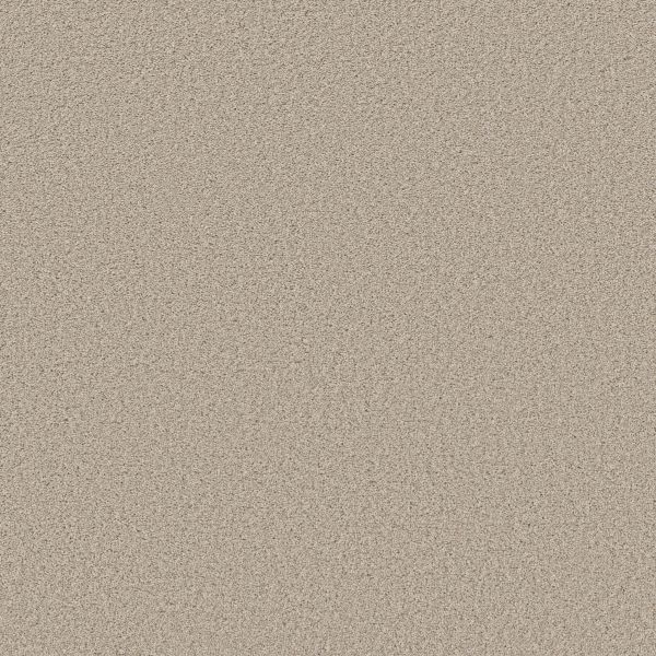 Shop Shaw Floors Simply The Best Trusolutions II Sugar