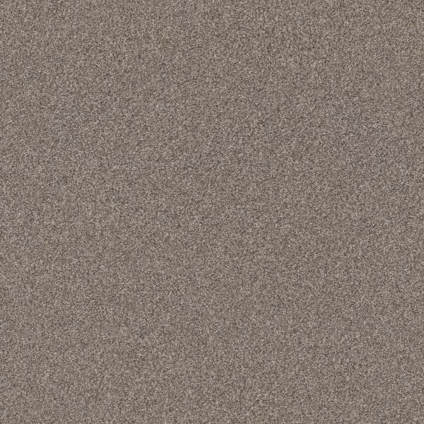 Shaw Floors Pet Perfect Plus Artistic Fusion I Sea Shell 00100_5E574