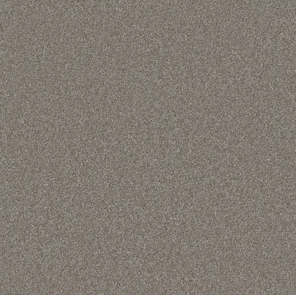 Shaw Floors Pet Perfect Plus Artistic Fusion I Cashmere 00104_5E574