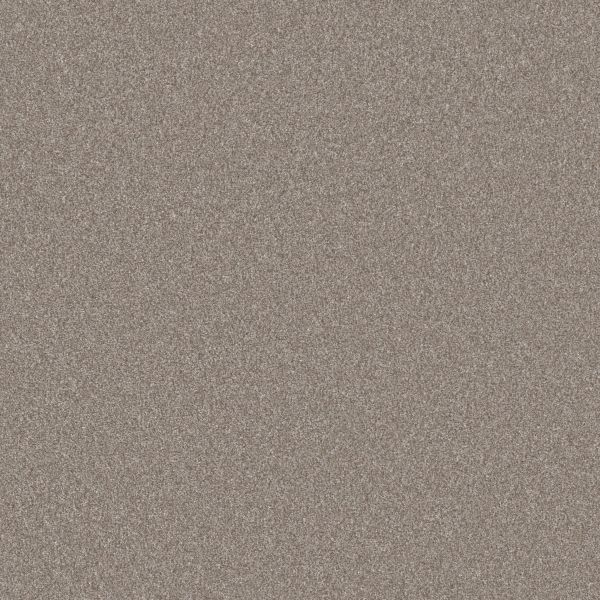 Shaw Floors Pet Perfect Plus Artistic Fusion I Soft Sense 00112_5E574