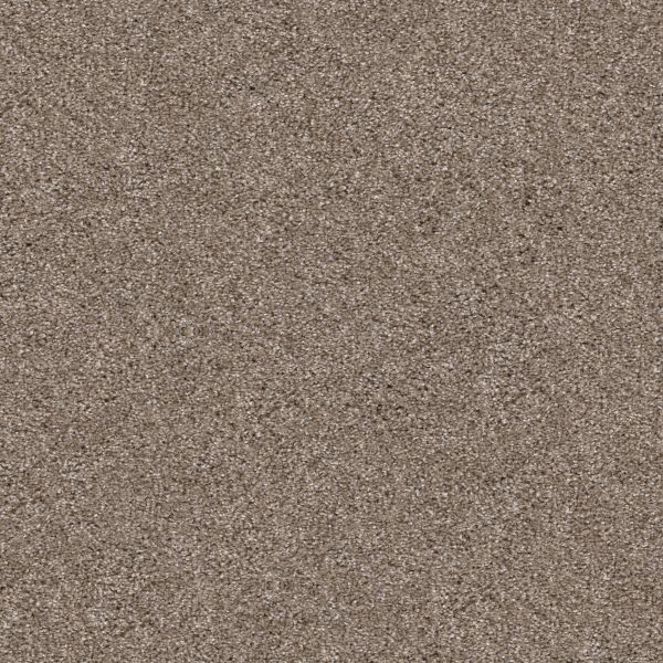 Shaw Floors Pet Perfect Plus ARTISTIC FUSION I Cameo 00113_5E574