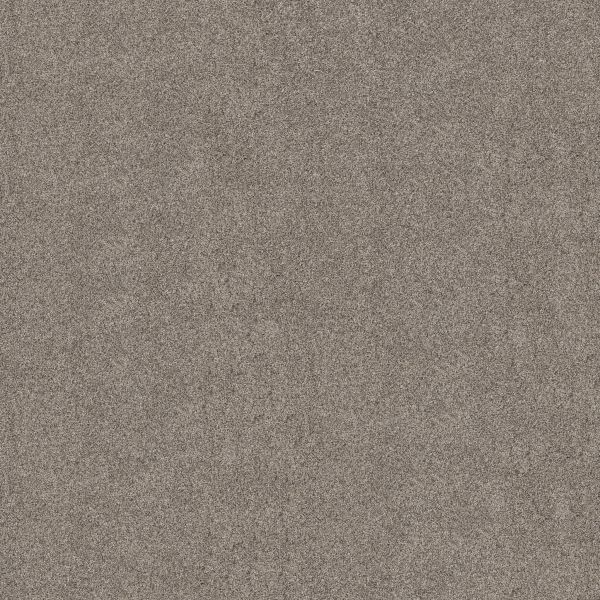 Shaw Floors Pet Perfect Plus ARTISTIC FUSION I Warm Light 00116_5E574