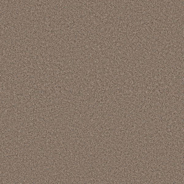 Shaw Floors Pet Perfect Plus ARTISTIC FUSION I Moonwalk 00118_5E574