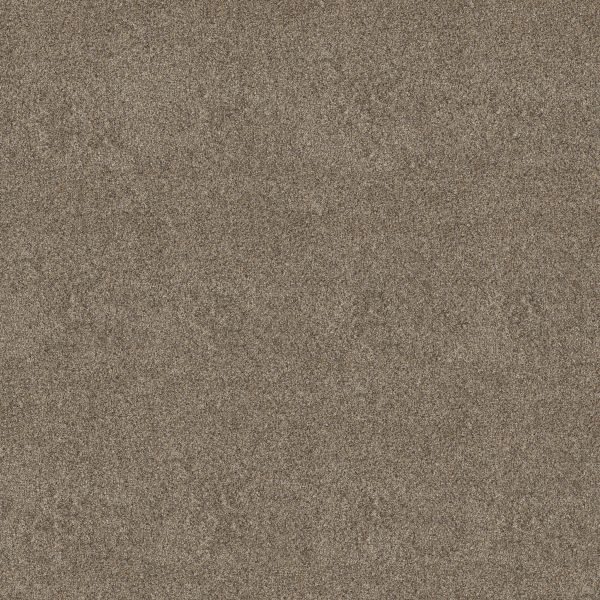 Shaw Floors Pet Perfect Plus ARTISTIC FUSION I Honeycomb 00207_5E574