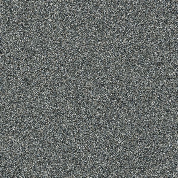 Shaw Floors Pet Perfect Plus ARTISTIC FUSION I Ocean 00401_5E574