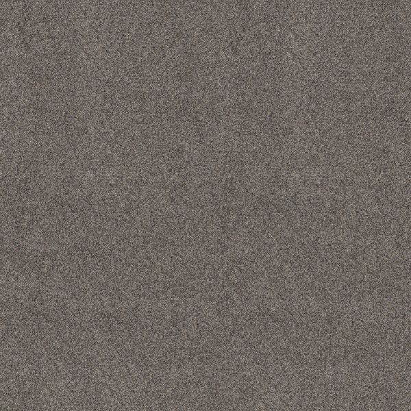 Shaw Floors Pet Perfect Plus ARTISTIC FUSION I Shadow 00502_5E574