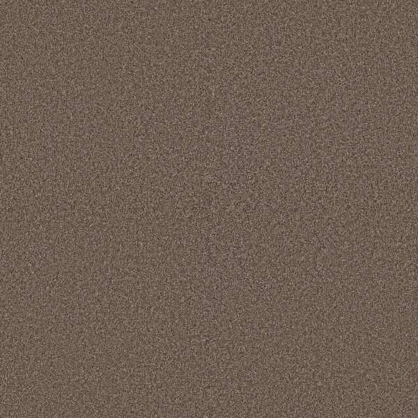 Shaw Floors Pet Perfect Plus ARTISTIC FUSION I Orange Oxide 00651_5E574