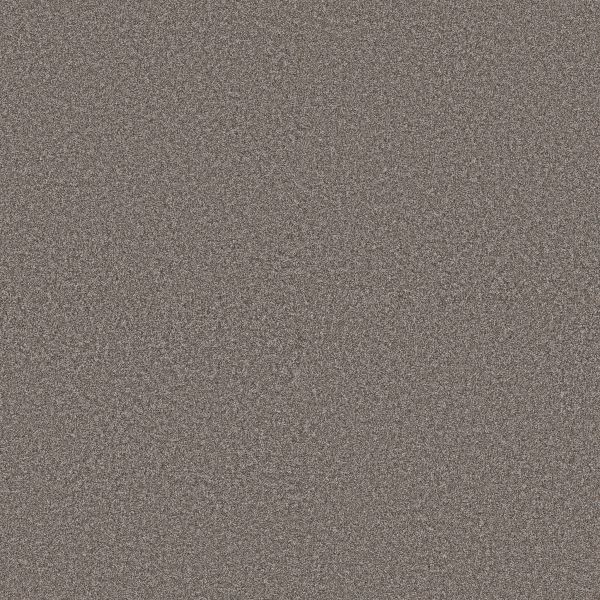 Shaw Floors Pet Perfect Plus ARTISTIC FUSION I Midnight Brown 00756_5E574