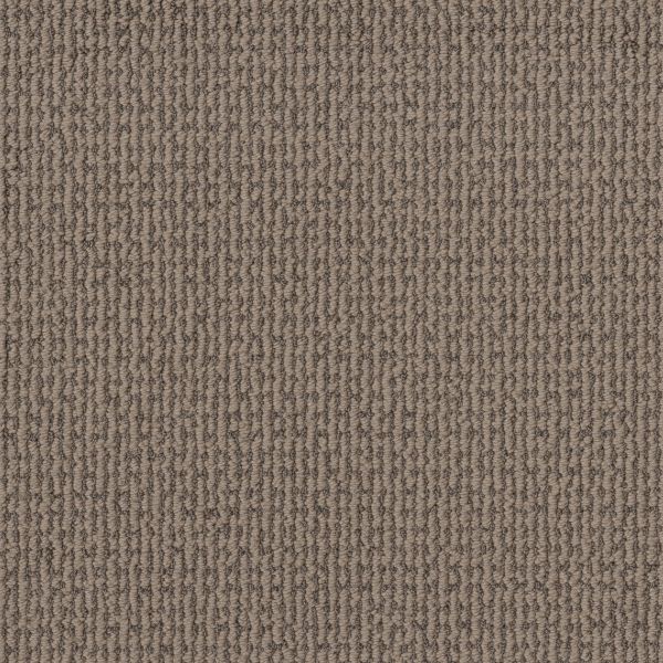 Shaw Floors Pet Perfect Plus Crafted Embrace Stormy Breeze 00505_5E455