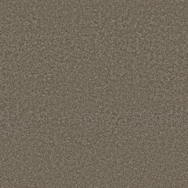 Shaw Floors Pet Perfect Plus Just A Hint I Dreamy Taupe 00708_E9640