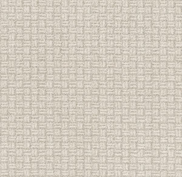 Shaw Floors Pet Perfect Plus Soothing Surround Washed Linen 00103_5E275