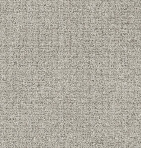 Shaw Floors Pet Perfect Plus Soothing Surround Split Sediment 00104_5E275