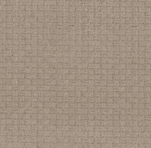 Shaw Floors Pet Perfect Plus Soothing Surround Beige Bisque 00110_5E275