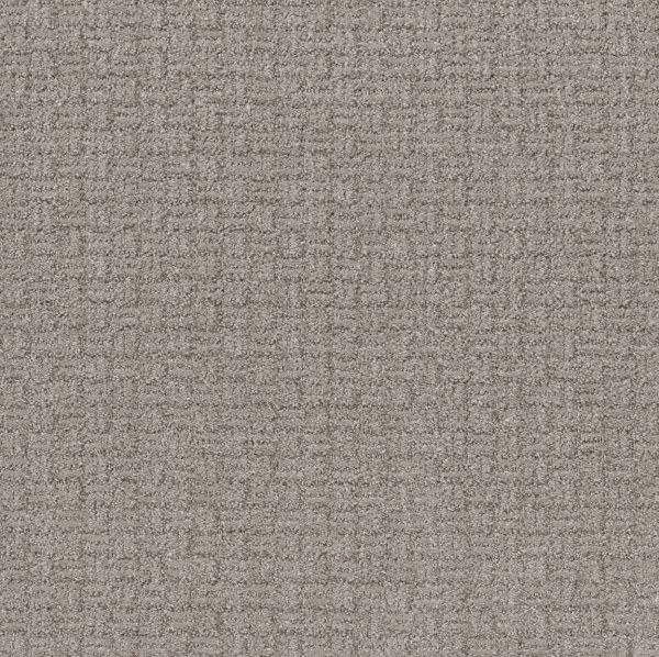 Shaw Floors Pet Perfect Plus SOOTHING SURROUND Newstone Haven 00502_5E275