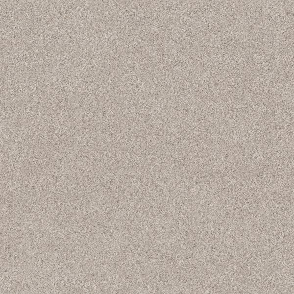 Shaw Floors Pet Perfect Plus Calm Serenity II Washed Linen 00103_5E272