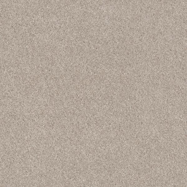 Shaw Floors Pet Perfect Plus Calm Serenity II Kidskin 00109_5E272