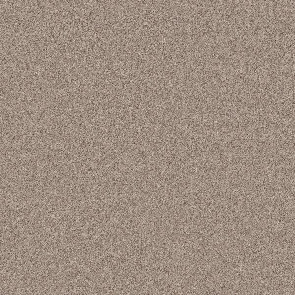 Shaw Floors Pet Perfect Plus Calm Serenity II Beige Bisque 00110_5E272