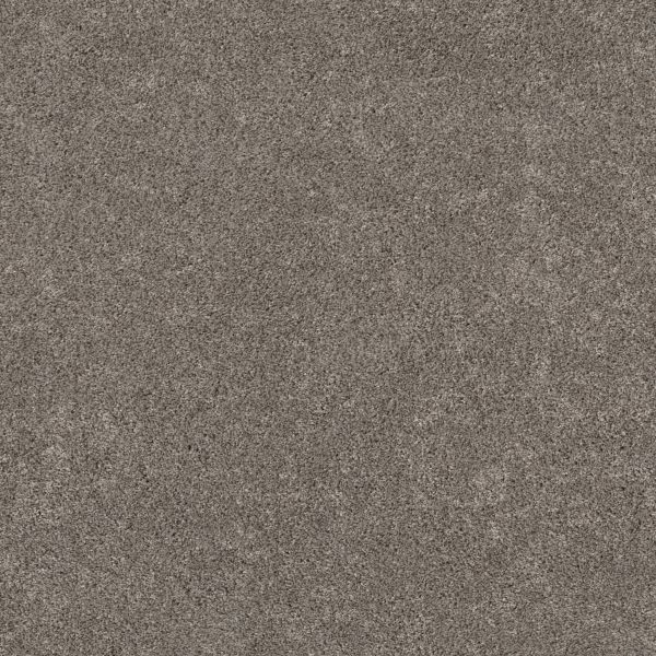 Shaw Floors Pet Perfect Plus CALM SERENITY II Dark Maple 00702_5E272