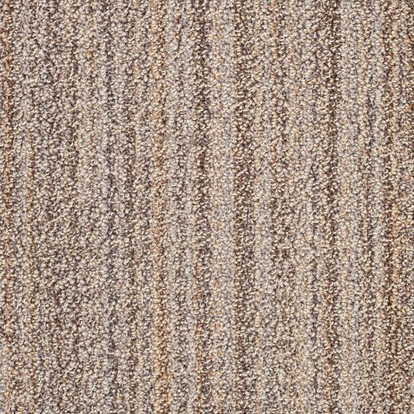 Shop Anderson Tuftex SUNDANCE Nomadic 00724_ZZ039 Carpet