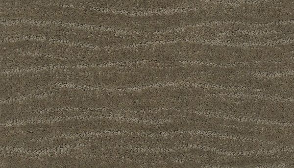 Shop Anderson Tuftex CLASSICS Pose Herbal 00535_ZZ079 Carpet Shop Anderson Tuftex CLASSICS Pose Herbal 00535_ZZ079 Carpet