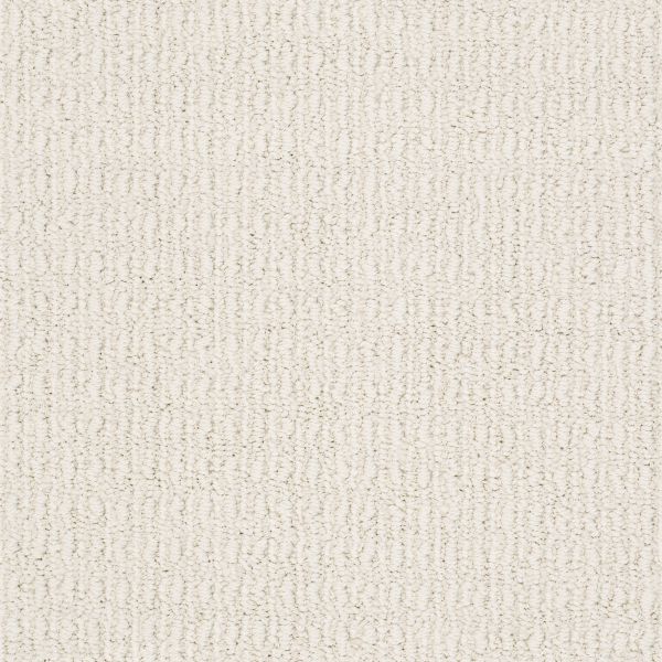 Anderson Tuftex TRULY DELIGHTFUL Blank Canvas 00111_ZZ094